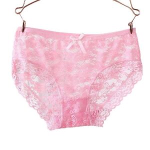 Net Pantie